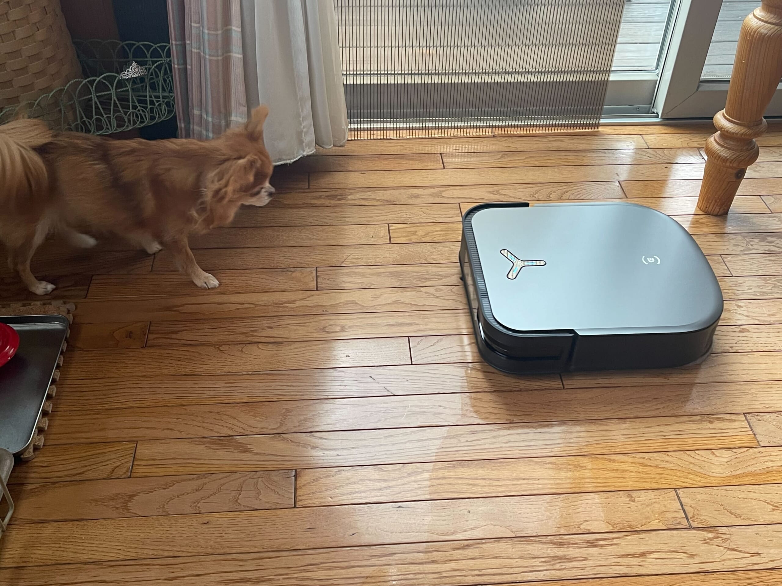 ECOVACS DEEBOT X2 OMNI　レビュー