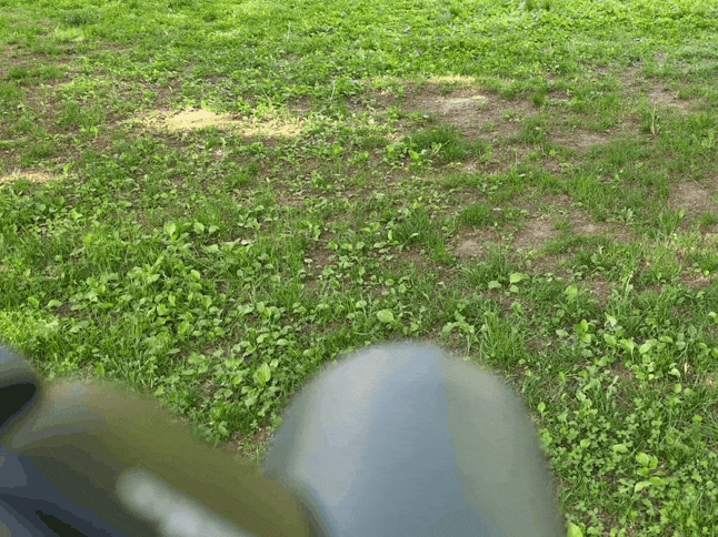 双眼鏡　アバンター　野鳥観察