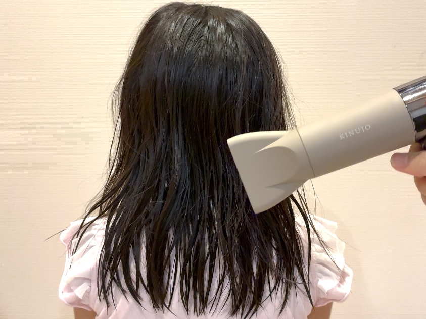 Refa　ビューテックドライヤーS+　KINUJO　比較　レビュー