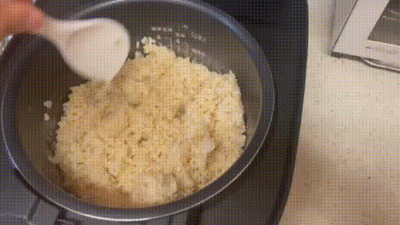 ライカベル　玄米発芽炊飯器　レビュー