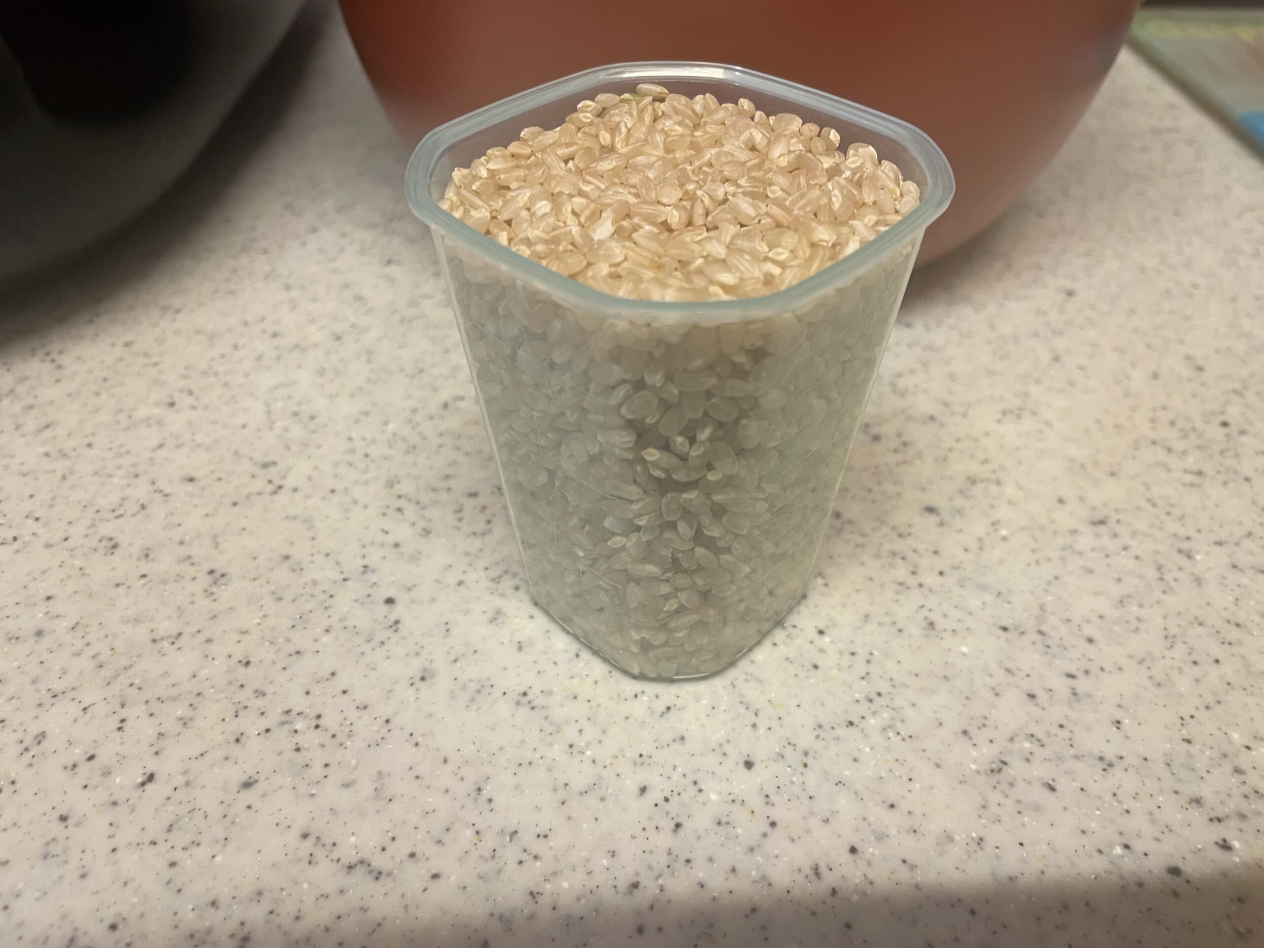 ライカベル　玄米発芽炊飯器　レビュー