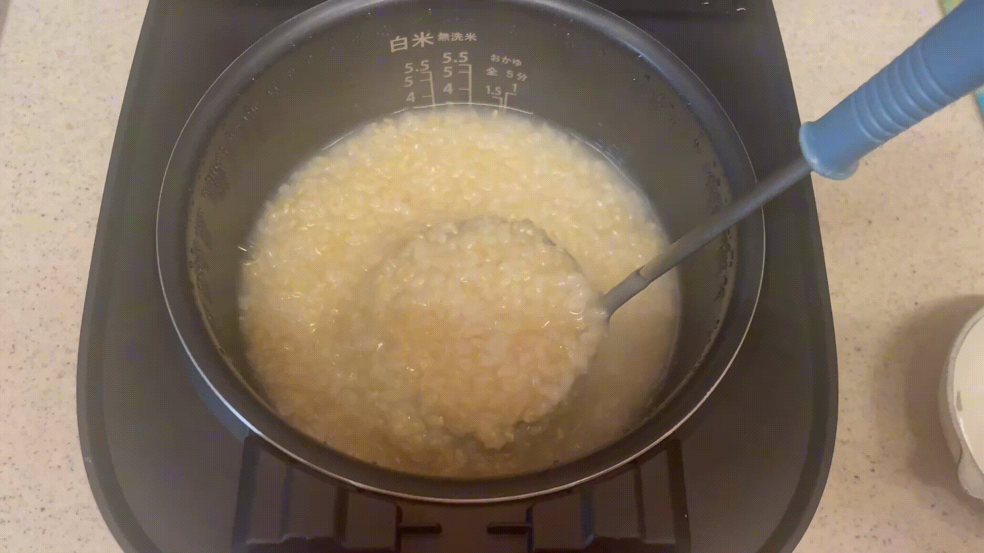 ライカベル　玄米発芽炊飯器　レビュー