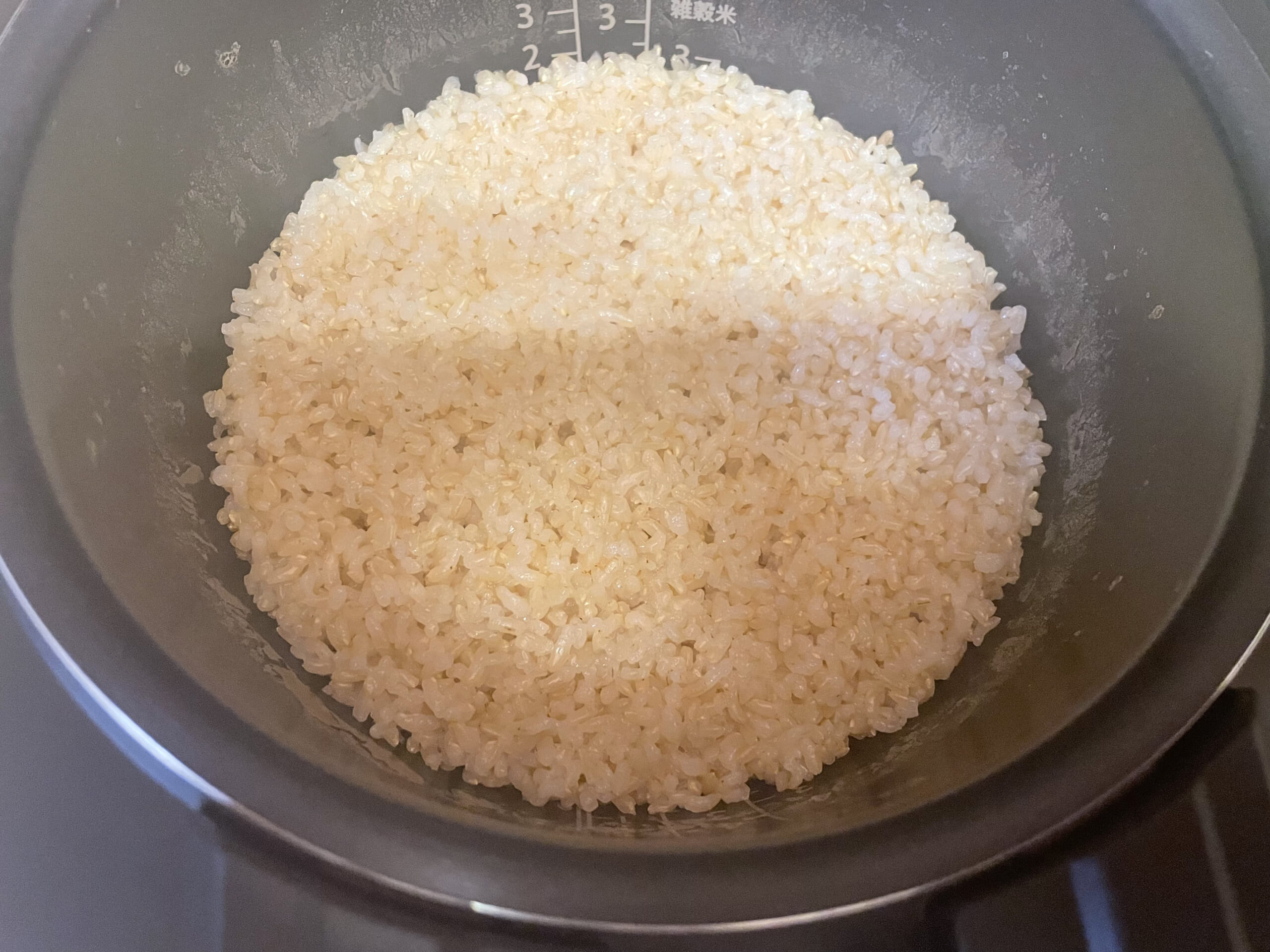 ライカベル　玄米発芽炊飯器　レビュー