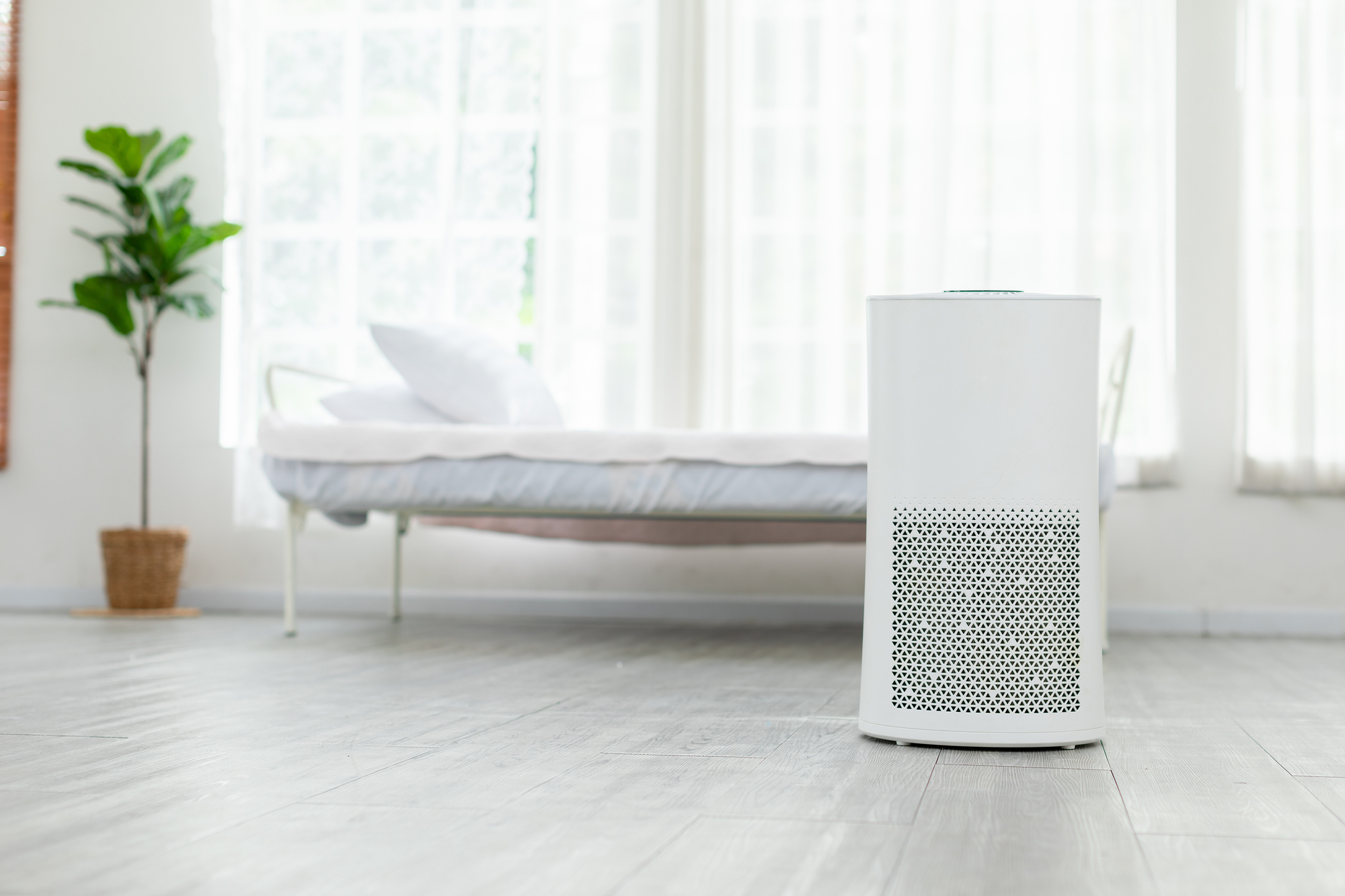 空気清浄機 花粉対策 効果ない