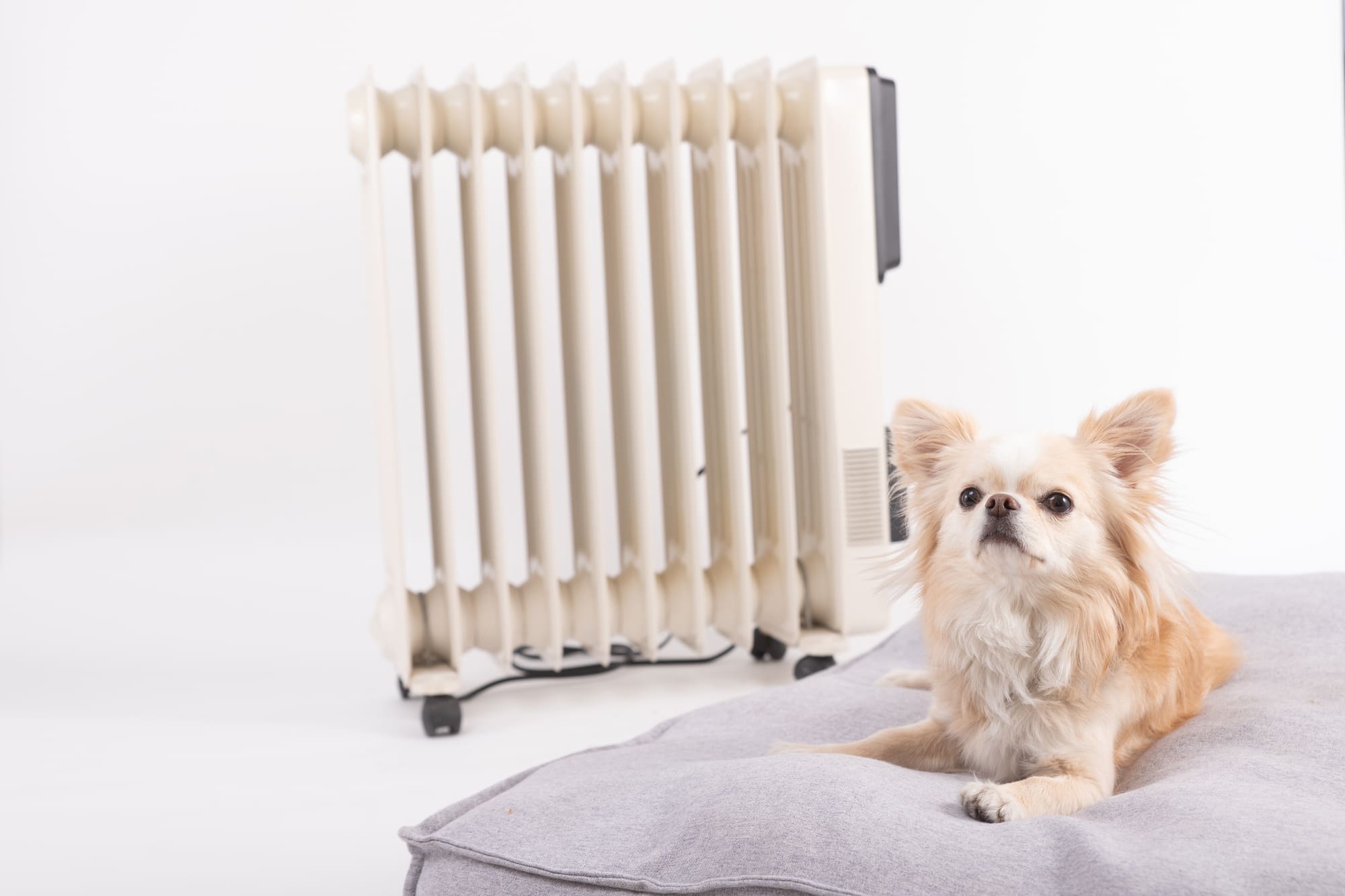 オイルレスヒーターとは 　選び方