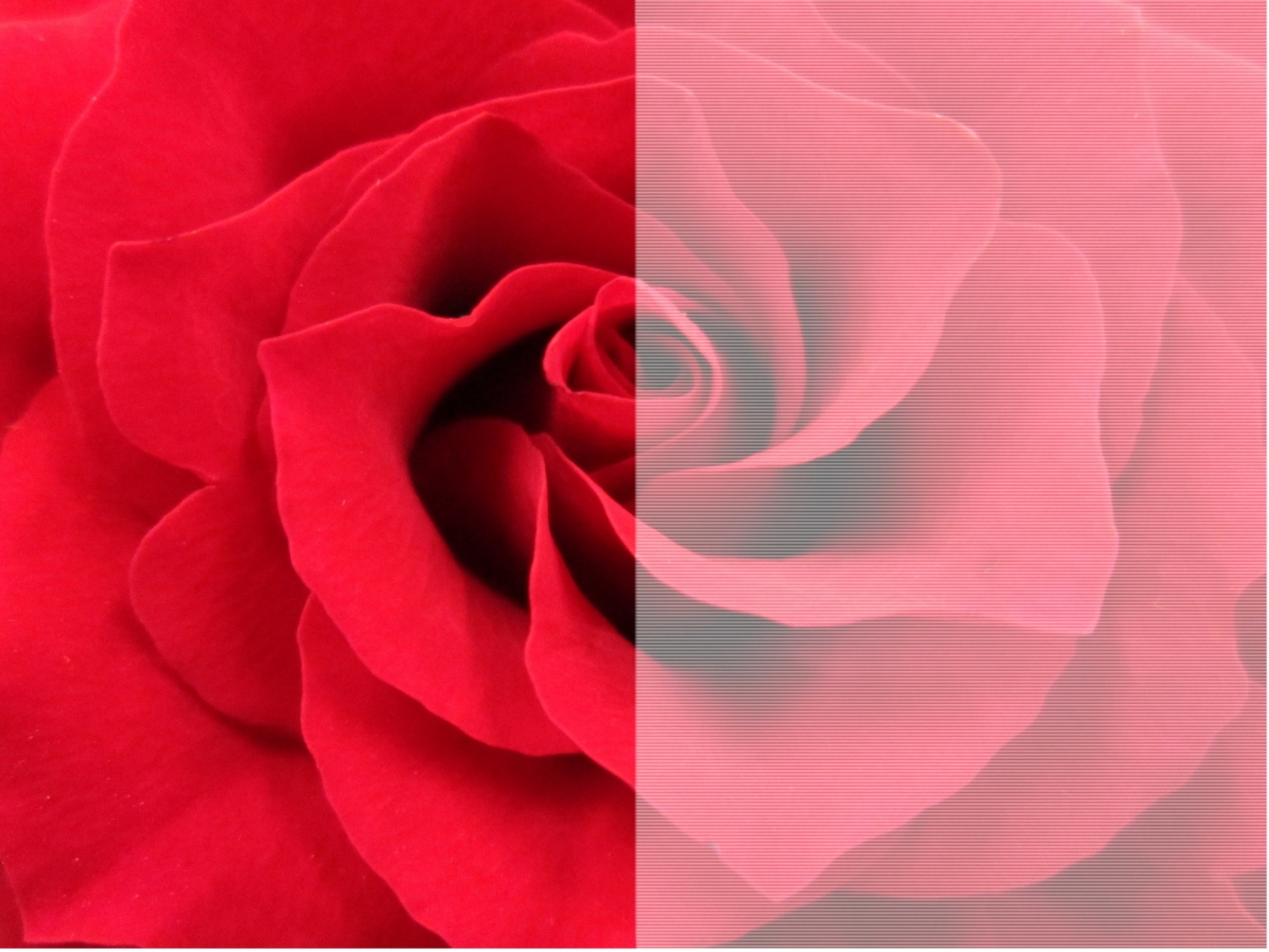 明るい環境だと画面が見づらい