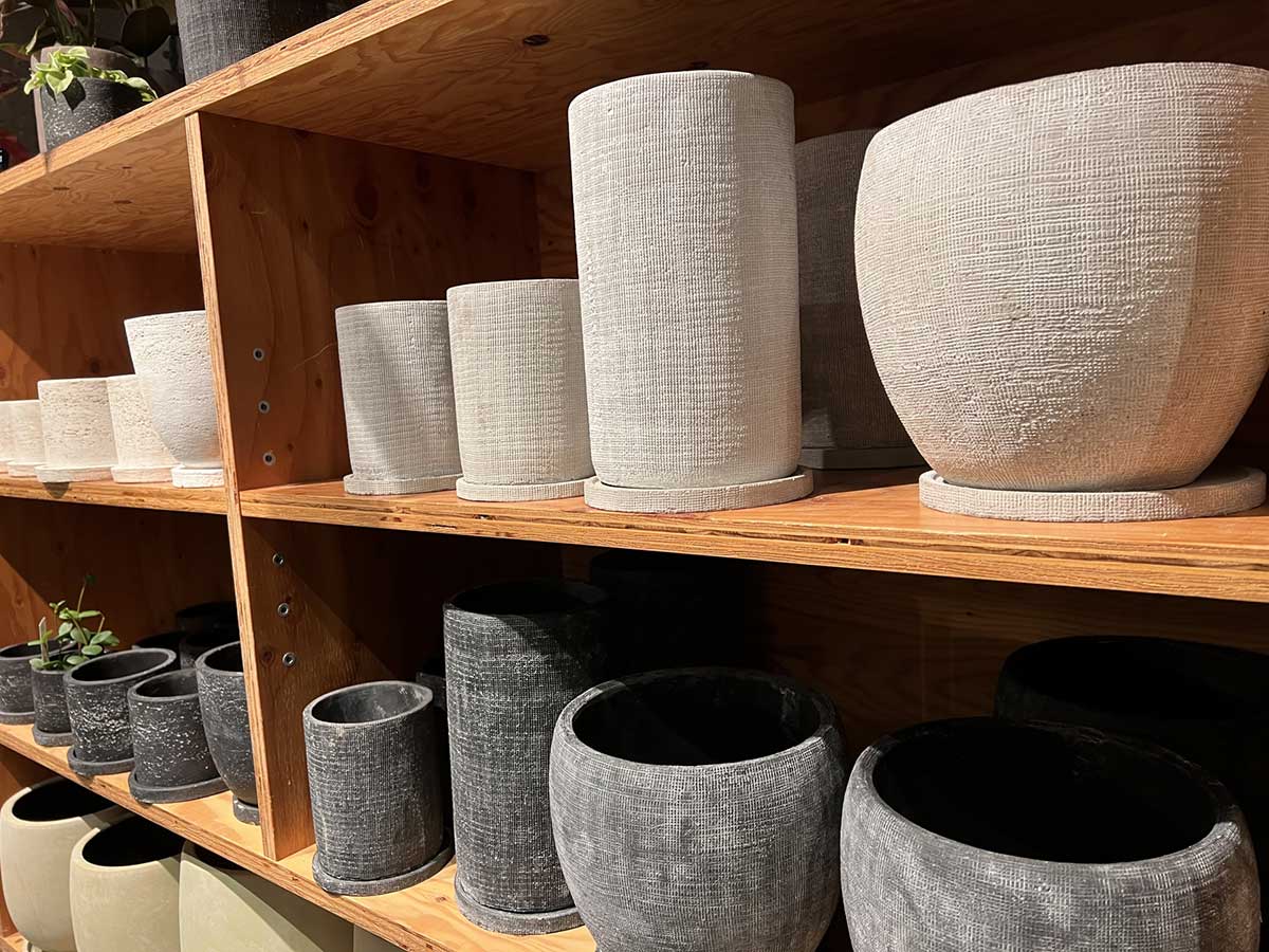 植木鉢が置かれた棚