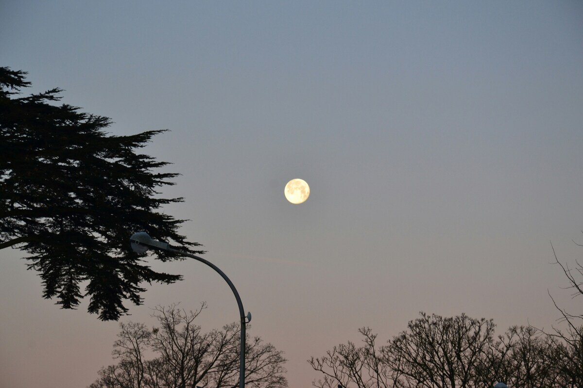 月を見るための双眼鏡の選び方