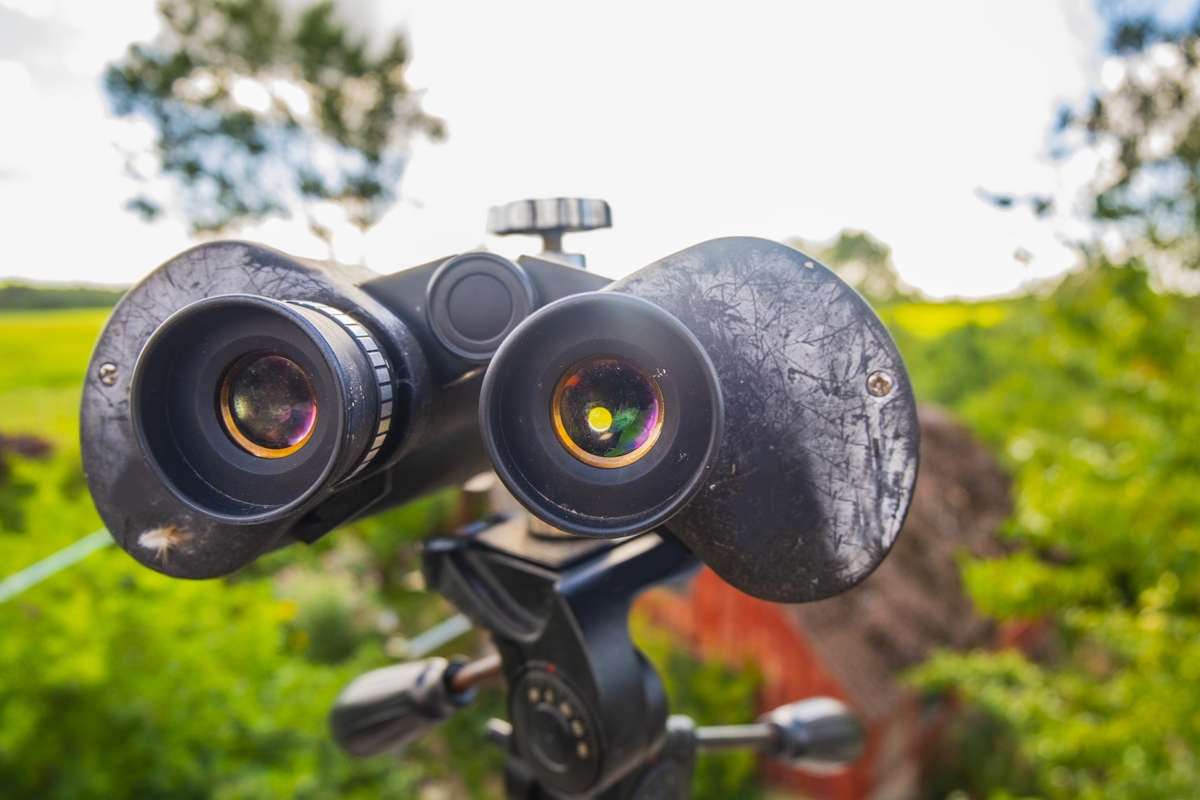 三脚や身近な物を利用して手ブレを抑える