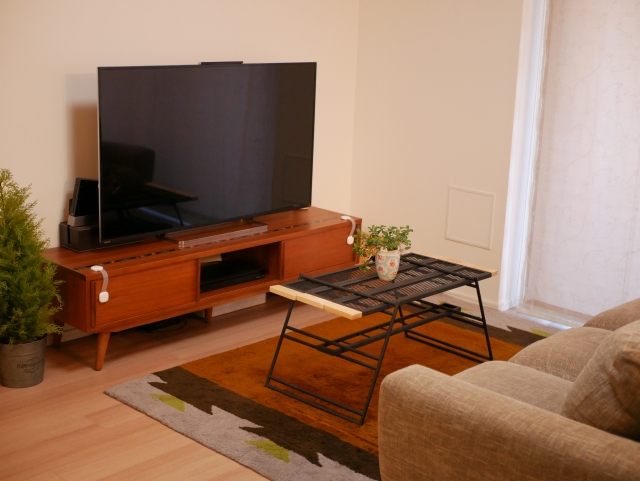 一人暮らしとテレビ