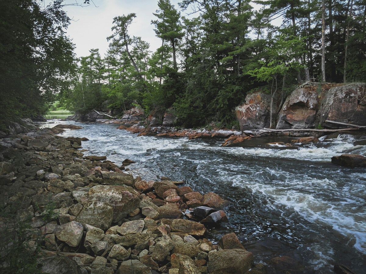 渓流・流れのある場所での川遊び