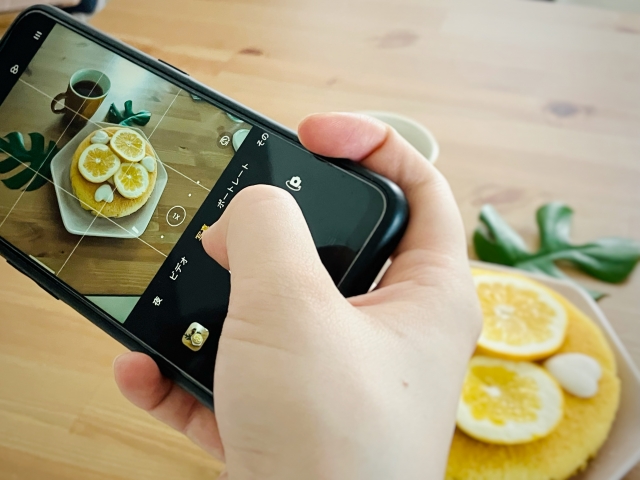スマホカメラで撮影する様子