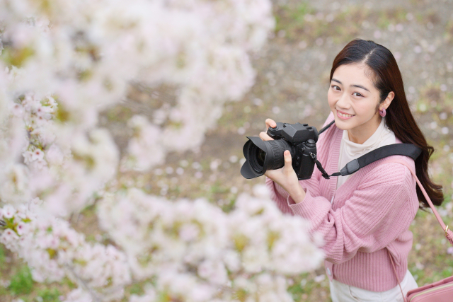 カメラで桜を撮影する女性