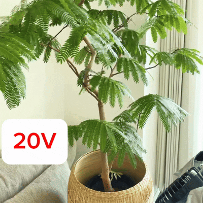空調服の風量20V・25Vで葉に風を当てた様子