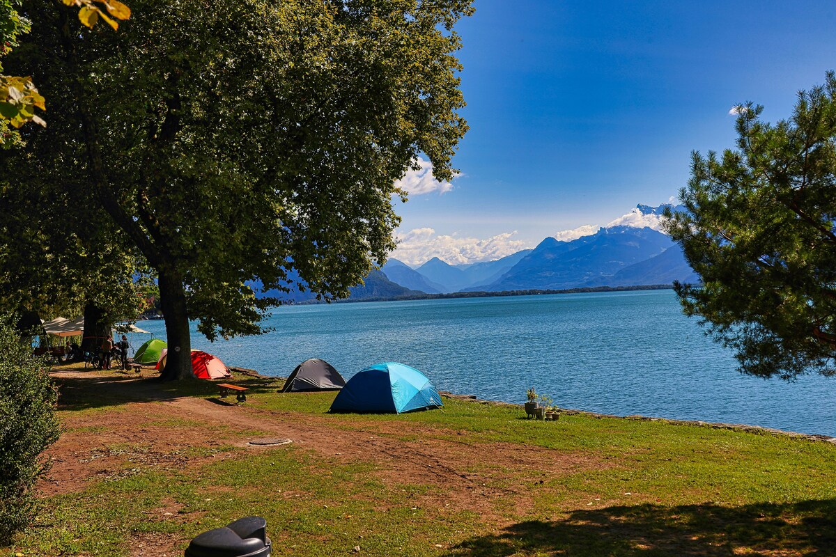 レンタル用品で過ごす水辺のキャンプグループ